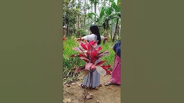Sang Guru Sejati - Wisnu Aji I Energi Leluhur di Situs Watu Lumpang