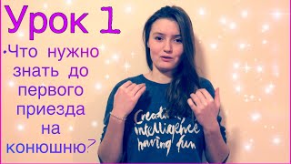 🐴Урок 1✨Что нужно знать до приезда на конюшню? | Уроки взаимодействия с лошадью 🐴Урок 1✨Что нужно знать до приезда на конюшню? | Уроки взаимодействия с лошадью