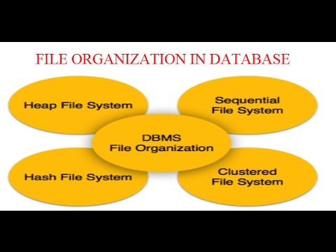 वीडियो: फ़ाइल और फ़ाइल संगठन क्या है?