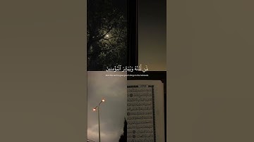 سورة الكهف#القرآن_الكريم #سورة_الكهف #quran #capcut #اللهم_صل_وسلم_على_نبينا_محمد #اكتب_شي_تؤجر_عليه