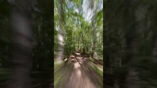 1262 Robertson Town Rd video tour