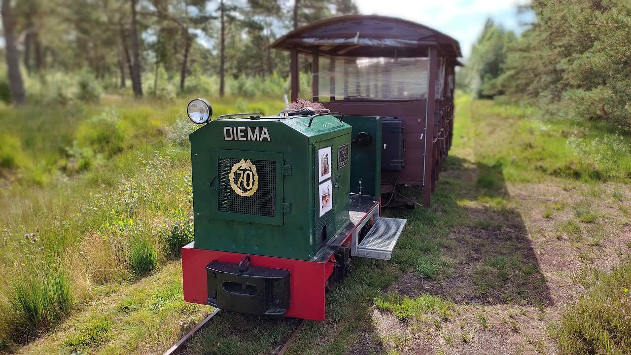 Moorbahnen im Ahlenmoor und Tlster-Bauernmoor -  2021-08-05+06