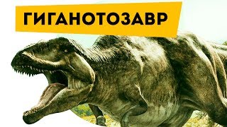 Интересные факты для детей про динозавров Гиганотозавр | Семен Ученый Интересные факты для детей про динозавров Гиганотозавр | Семен Ученый