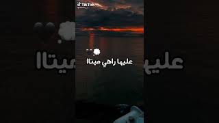 ولات تبغي ليريكا