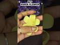 Diy Paper Flower🌼✨️#shorts #craft #diy #artshorts