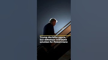 Trump declares peace, but sidesteps two-state solution for Palestinians | AJ #shorts
