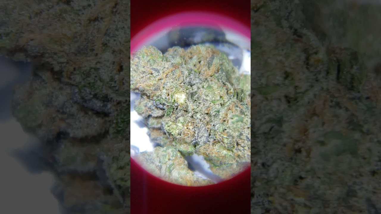 Strawberry Flame (First Cut) Veritas