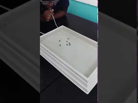 Currents Simulation