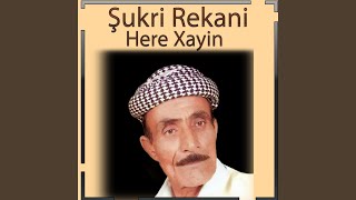 Siyabend U Xece Resimi