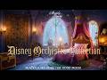 Midnight at Aurora's Bedroom with Disney Symphony🌙 Melodies of the Reading, Studying, Sleeping