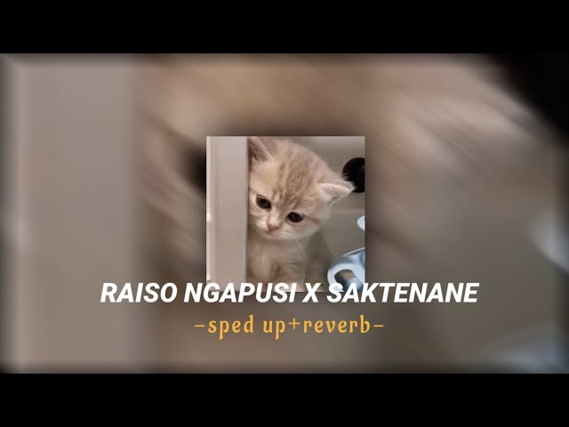 RAISO NGAPUSI X SAKTENANE (speed up+reverb) class=