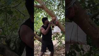 why do you train mma #youtubeshorts #mmafighter #mmatraining #mmafans #ytshorts