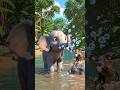 #cartoon #funny #kidsshorts #youtubeshorts