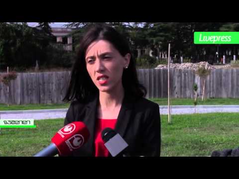 მოსაზრებები რეკრეაციული ზონის გაყიდვაზე