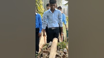 horticulture।।#hoticulture।।NGP PATNA 13।।PATNA 13