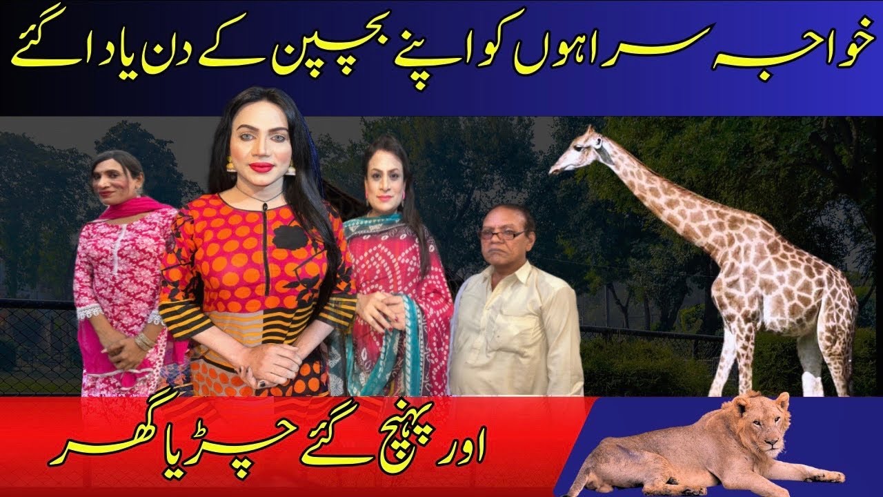 Сегодня мы идём в птичий домик.