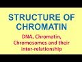 DNA, Chromatin and Chromosomes : Basic concepts by P K Agrawal