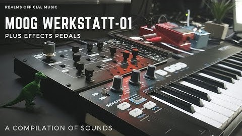 Moog Werkstatt-01 : A Compilation Of Sounds!