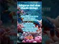 Filosofi Hidup dri Mantis Shrimp #SelaluIngatAlloh #EdukasiMotivasi #FaktaHewan #Animals #VideoViral