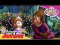 Sofia the First - Princess Charlotte | Official Disney Junior Africa