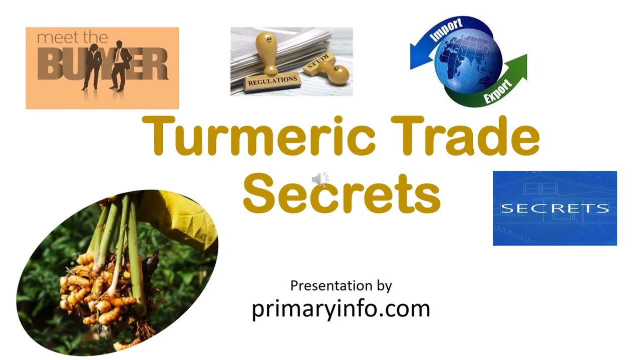 Turmeric Trade Secrets : Want to start your Turmeric Export From India?