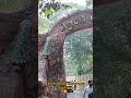Chennai Guindy National park 🌴🐍😊