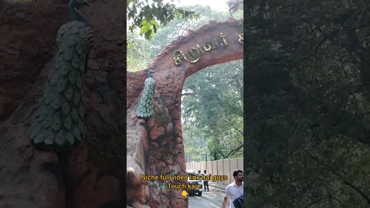 Chennai Guindy National park 🌴🐍😊