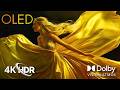 OLED Brilliance in 4K HDR Dolby Vision – Mind-Blowing Demo (4K/8K TV)