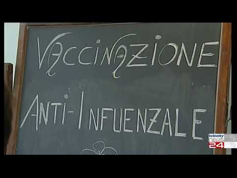 11/01/24 - Influenza record: erronea l'espressione ''influenza suina'' nel caso del virus A/H1N1