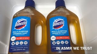 ASMR 🔄 Domestos Pine ✨🌲 New Pine Cleaner⁉️ Like Dettol 🤔 | Sizzling♨️Pine🍯 sponge squeezing asmr