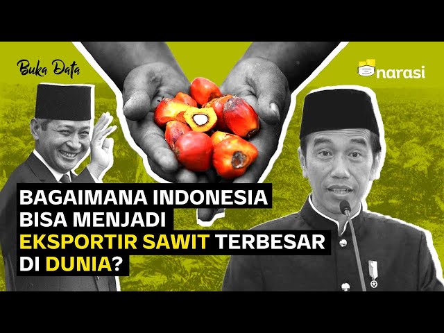 Bagaimana Indonesia Menjadi Negara Pengekspor Sawit Terbesar di Dunia? | Buka Data class=