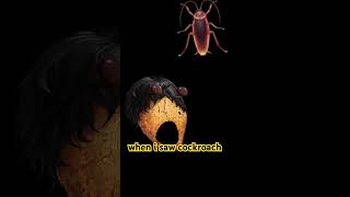 when i saw cockroach 🪳 #trending #screaming #sound #shorts