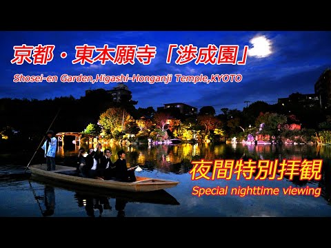 名勝「渉成園」の夜間特別拝観　「秋灯り」の内覧会（2024年11月14日、京都市下京区）