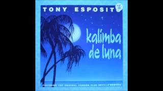 Tony Esposito   Kalimba de Luna The Italian Tamborder Club Mix