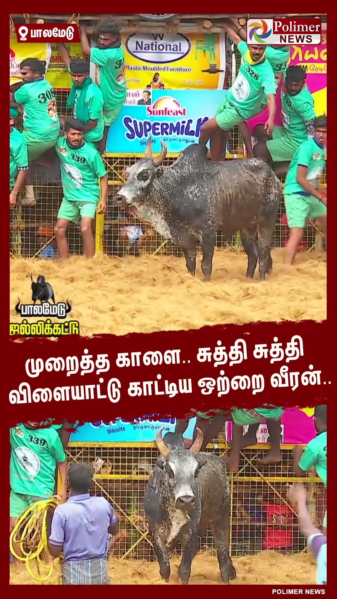 முறைத்த காளை.. சுத்தி சுத்தி விளையாட்டு காட்டிய ஒற்றை வீரன்.. #shorts | #palamedujallikattu