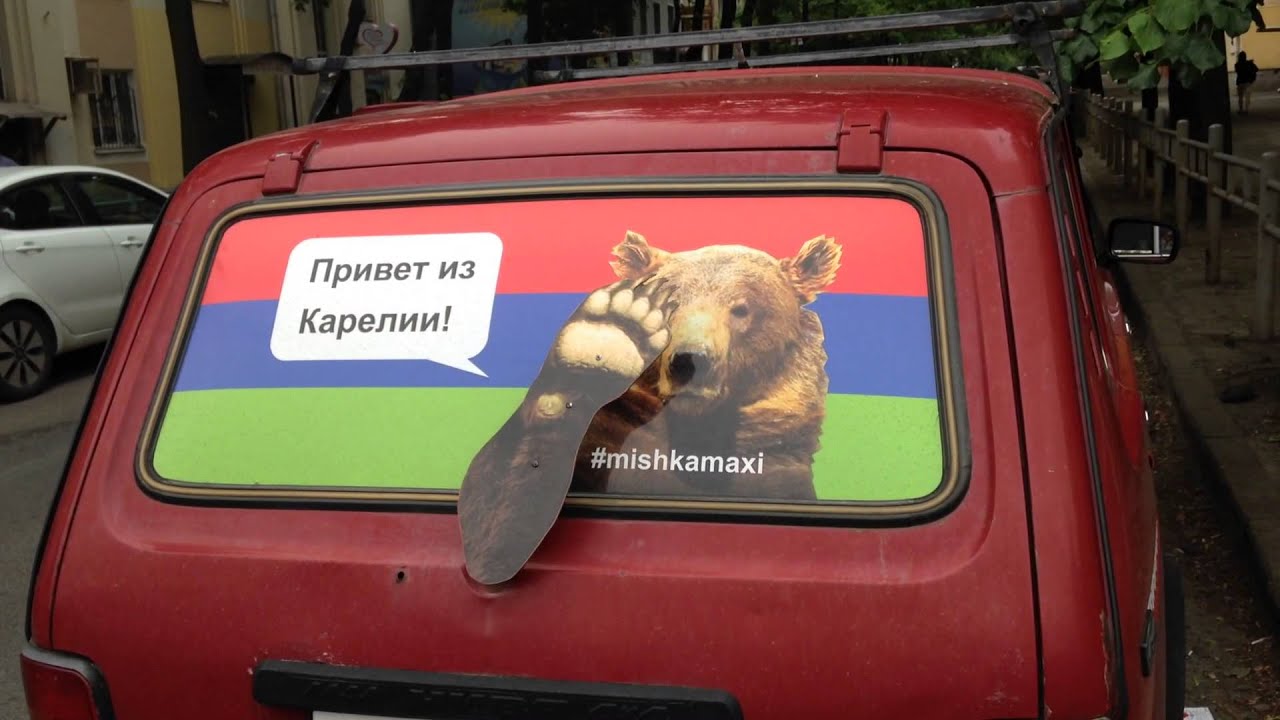Мишка в машине