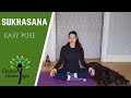 Sukhasana (Easy Pose) Part I - The Set Up