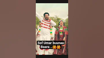 KAAMOLEE IBROO IBSAA New Oromo Music New Oromo Music 2025 