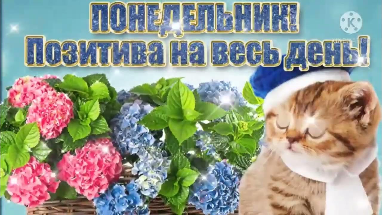 Желаю доброго понедельника. Прекрасного понедельника гиф. анимированные открытки с понедельником. анимашки понедельник. гиф с понедельником и хорошей недели.