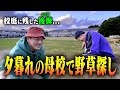 【小学校時代の後悔】あの日言えなかった&ldquo;ごめんね&rdquo;。カミナリまなぶ、ありったけの思いを込めてよもぎ団子を作る。【鉾田の野草】