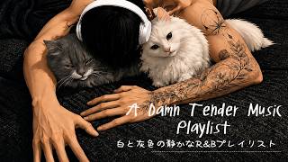 Japanese R B Playlist night music for work driving and study BGM