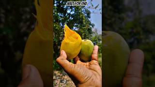 Guess This Fruit Name #shorts #trending