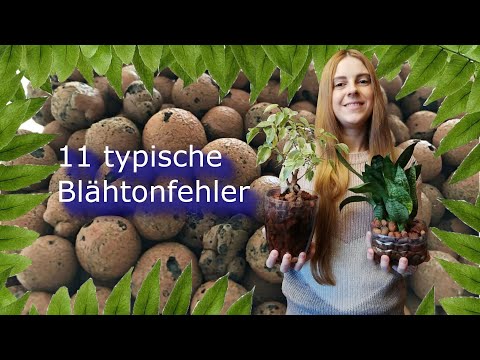 Video: Cachepot-Pflanzenpflege - Verwendung von Doppeltöpfen für Pflanzen