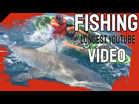 Shark and Grouper Goliath Longest Fishing Videos! Enormous Fish In The Smallest Boats