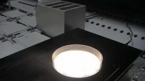 Pickolo           Colony-picker for Tecan robots