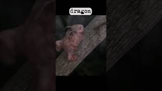 Mythical creatures caught on camera pt 4😱😱 #horror #creatures #viral #like