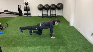 Quadruped Hip Extension iso