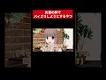 先輩女子に相談するやつ#アニメ #コント #勘違い #方言 #恋愛