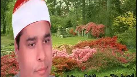 الشيخ محمد الليثي سورة الفرقان