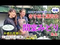 今週の花便り #22【2022.12.23】間室みどり先生　寄せ植え講習会【寄せ植え】 ネメシア　ビオラ　ガーデンセンターさにべる
